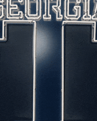 Georgia Tech Baseball GIF by Georgia Tech Yellow Jackets