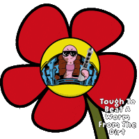 VeeFriends nope flash veefriends garyvee Sticker