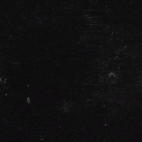 Church Shooting GIF by INTO ACTION