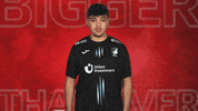 Tsg Hoffenheim Arms GIF by Bundesliga