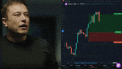 Elon Musk Crypto GIF by KiwiGo (KGO)