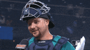 Celebrate Regular Season GIF by MLB
