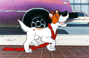 oliver and company GIF