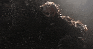 Halloween Bird GIF by Crypt TV