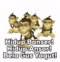 Yaqut GIF