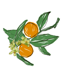 yerbaverdeflor flower flowers argentina flores Sticker