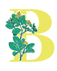 yerbaverdeflor flower flowers argentina flores Sticker