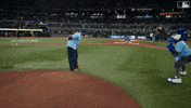Buffalo Bills Nfl GIF by Toronto Blue Jays