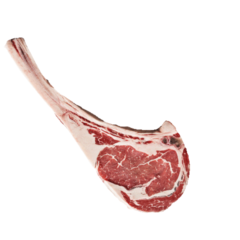 SigmaFoodservice giphyupload branded sigmafoodservice comnor Sticker