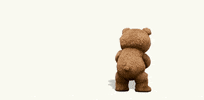 bear GIF