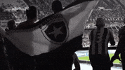 GIF by Botafogo
