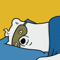 bearlypawsitive tired sleep goodnight sleeping GIF