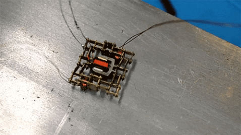 mit giphygifmaker robot mit GIF