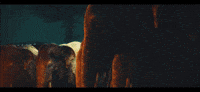Tva GIF