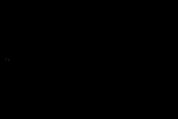Tva Gta Rp GIF
