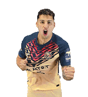 Football Celebrate Sticker by Club America
