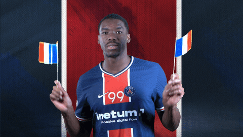 France Dancing GIF by Paris Saint-Germain Handball