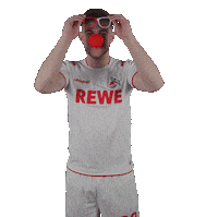 1 Fc Cologne Bundesliga Sticker by 1. FC Köln