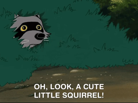 hey arnold nicksplat GIF