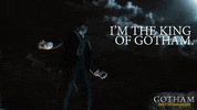 Oswald Cobblepot Penguin GIF by DC