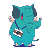 obahdesign design graphic design elephant verde Sticker