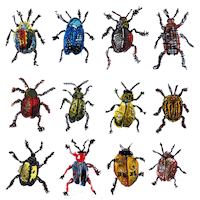 Art Illustration GIF by Harriet Lenneman