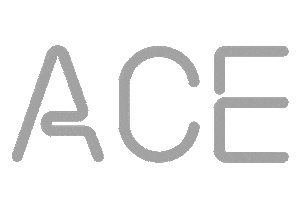 Ace Sticker by Seta