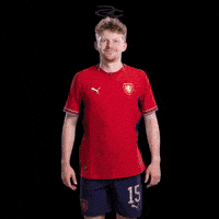 Fifa World Cup Uefa GIF by Respective