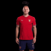 Fifa World Cup Uefa GIF by Respective