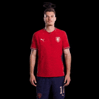 Fifa World Cup Uefa GIF by Respective