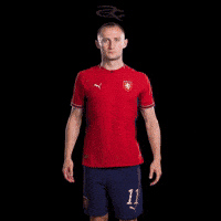 Fifa World Cup Uefa GIF by Respective