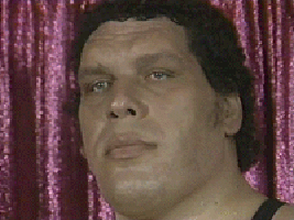 Andre The Giant Reaction GIF
