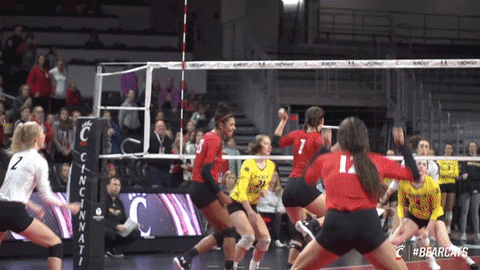 Bearcats Volleyball GIF by Cincinnati Bearcats