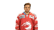 Dragon Striker Sticker by HC Oceláři Třinec