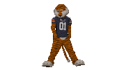 Whats Up Rap Sticker by Auburn Tigers