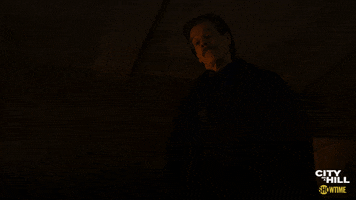 city on a hill jackie rohr GIF by Showtime