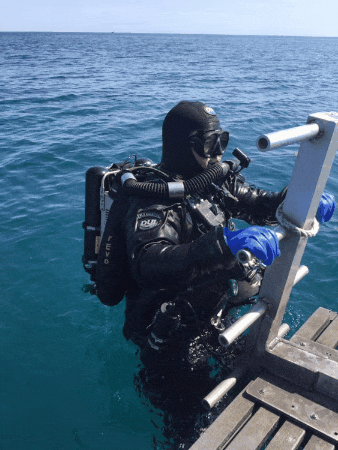 kylevandermolen giphygifmaker giphyattribution GIF