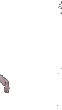 Ladydefenderbasketball Sticker by CSUDefenders