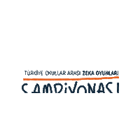 Yarışma Vakıf Sticker by Türkiye Zeka Vakfı