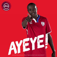 south african soccer GIF