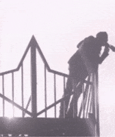 Playboi Carti Rl GIF by Respective