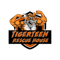 Sticker by Tigerteeh