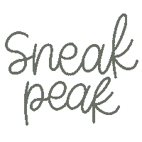 Photography Booking Sticker