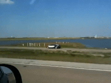 crash dollar GIF