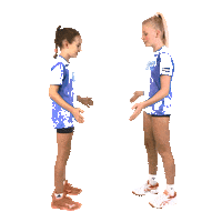 Team Handball Sticker by RK Krim