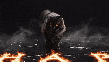 Trick Or Treat Happy Halloween GIF by Ashwin Gane