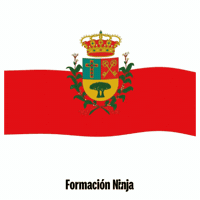 Bandera Canarias GIF by Formación Ninja