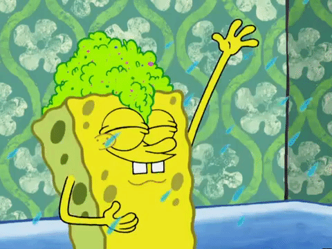 season 5 episode 3 GIF by SpongeBob SquarePants