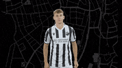 Svs1916 GIF by SV Sandhausen