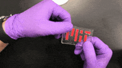 polymer hydrogel GIF by MIT 